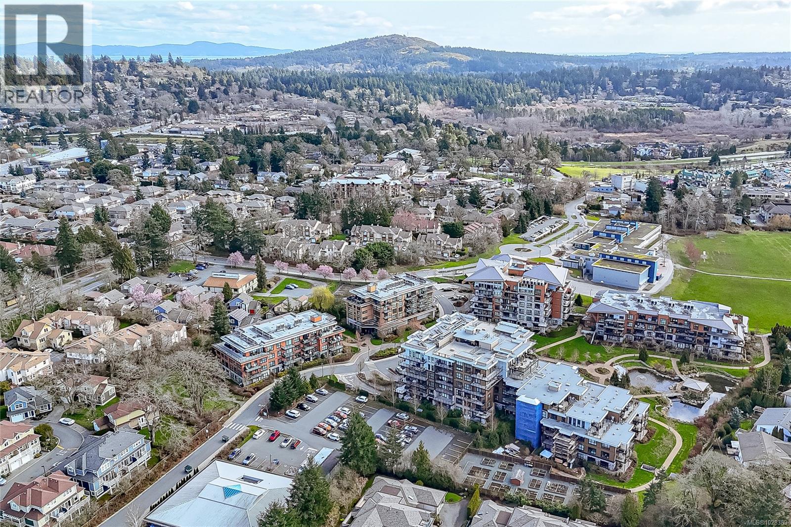 Single Family House for Sale in   Travino Lane Saanich 