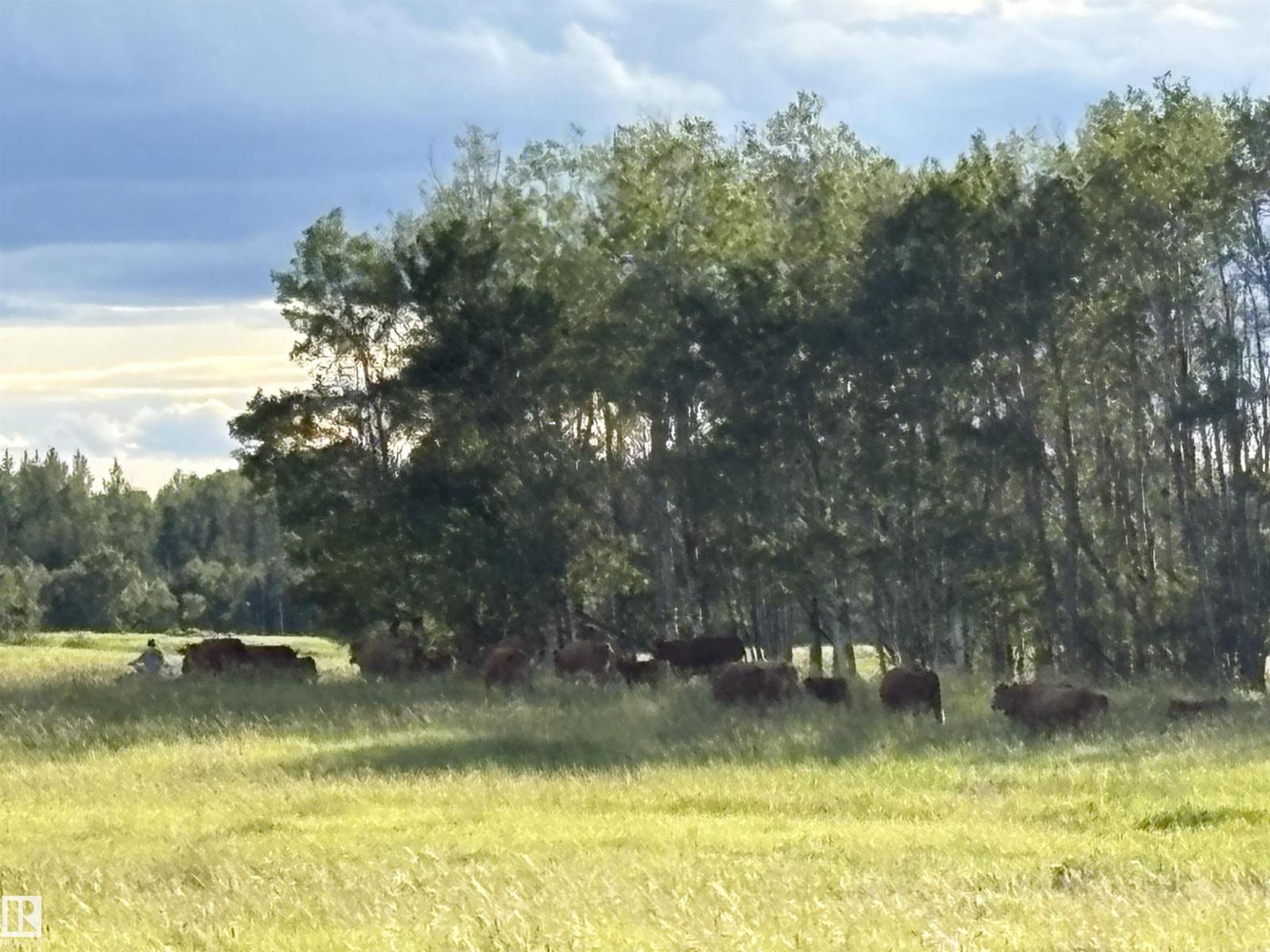 0 NW-31-49-3 W5, Rural Leduc County