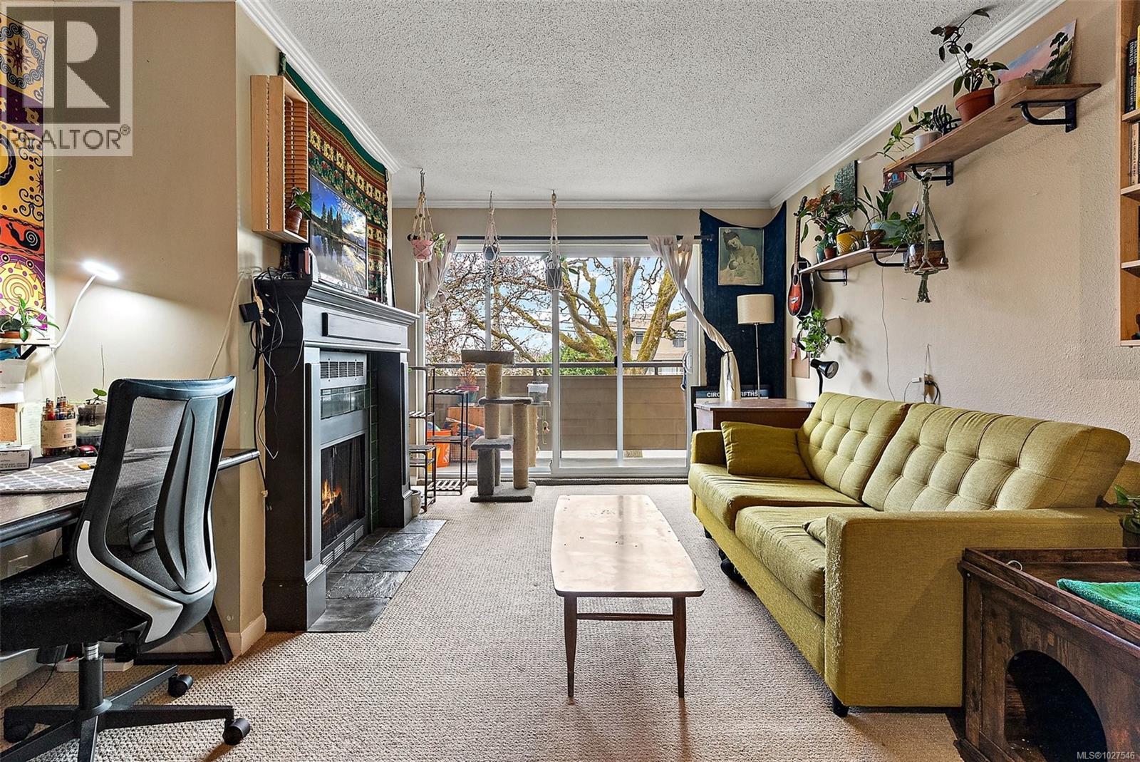 #209 3215 ALDER ST - Image 3