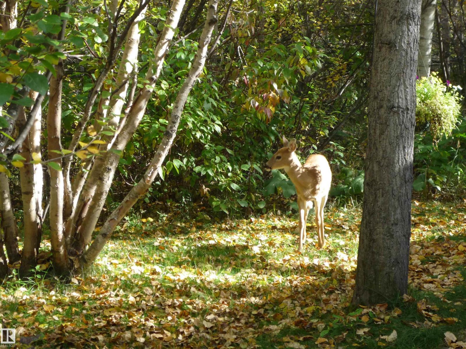 #5 51221 RGE ROAD 265, Rural Parkland County