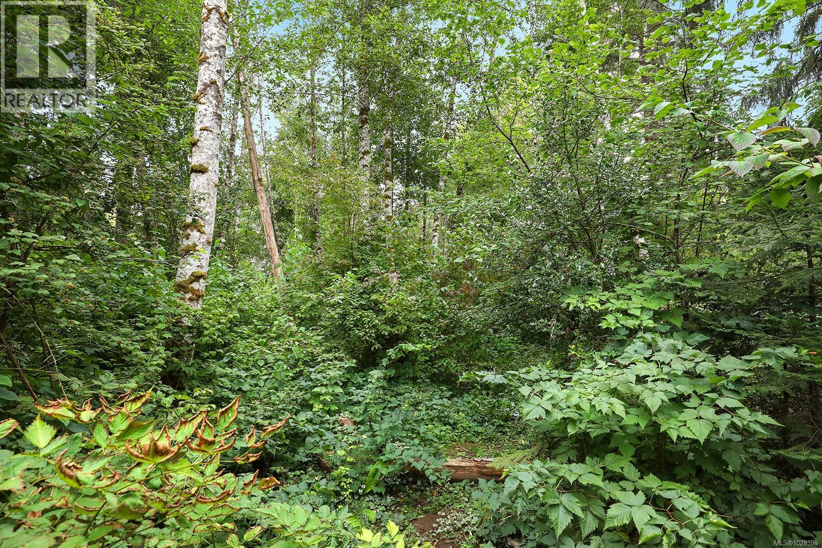 3775 ROY CREEK RD - 38