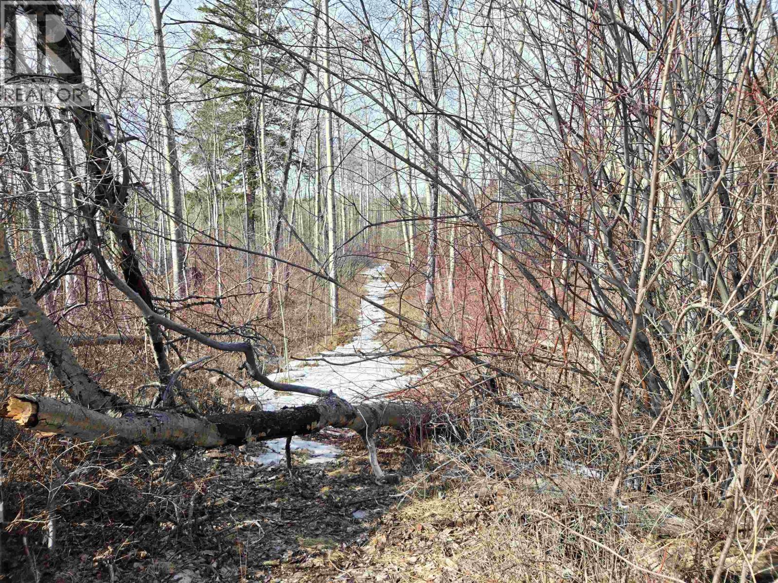 2840 FRANCOIS LAKE ROAD - 39