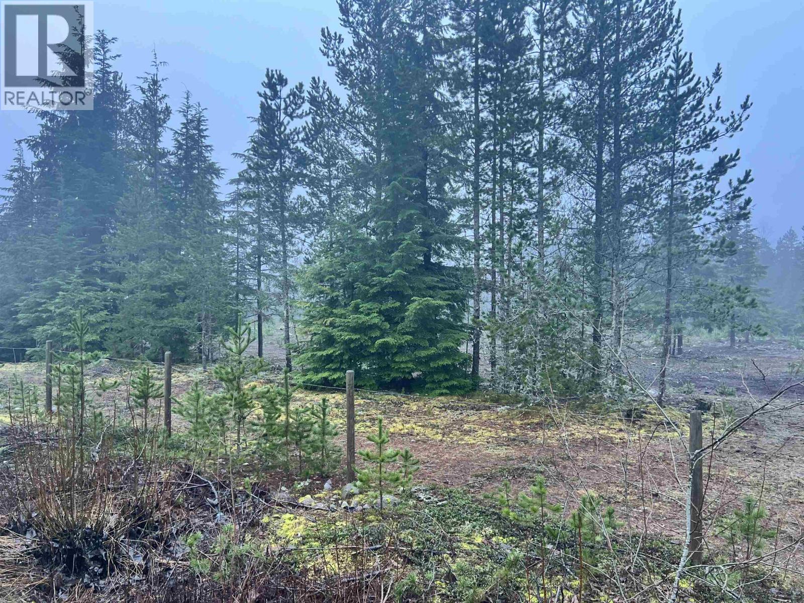 504 WILLIAMS CREEK ROAD - 4