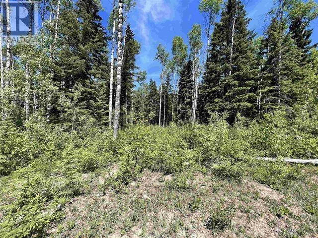 LOT 1 CHARLIE FRONTAGE ROAD, Fraser Lake