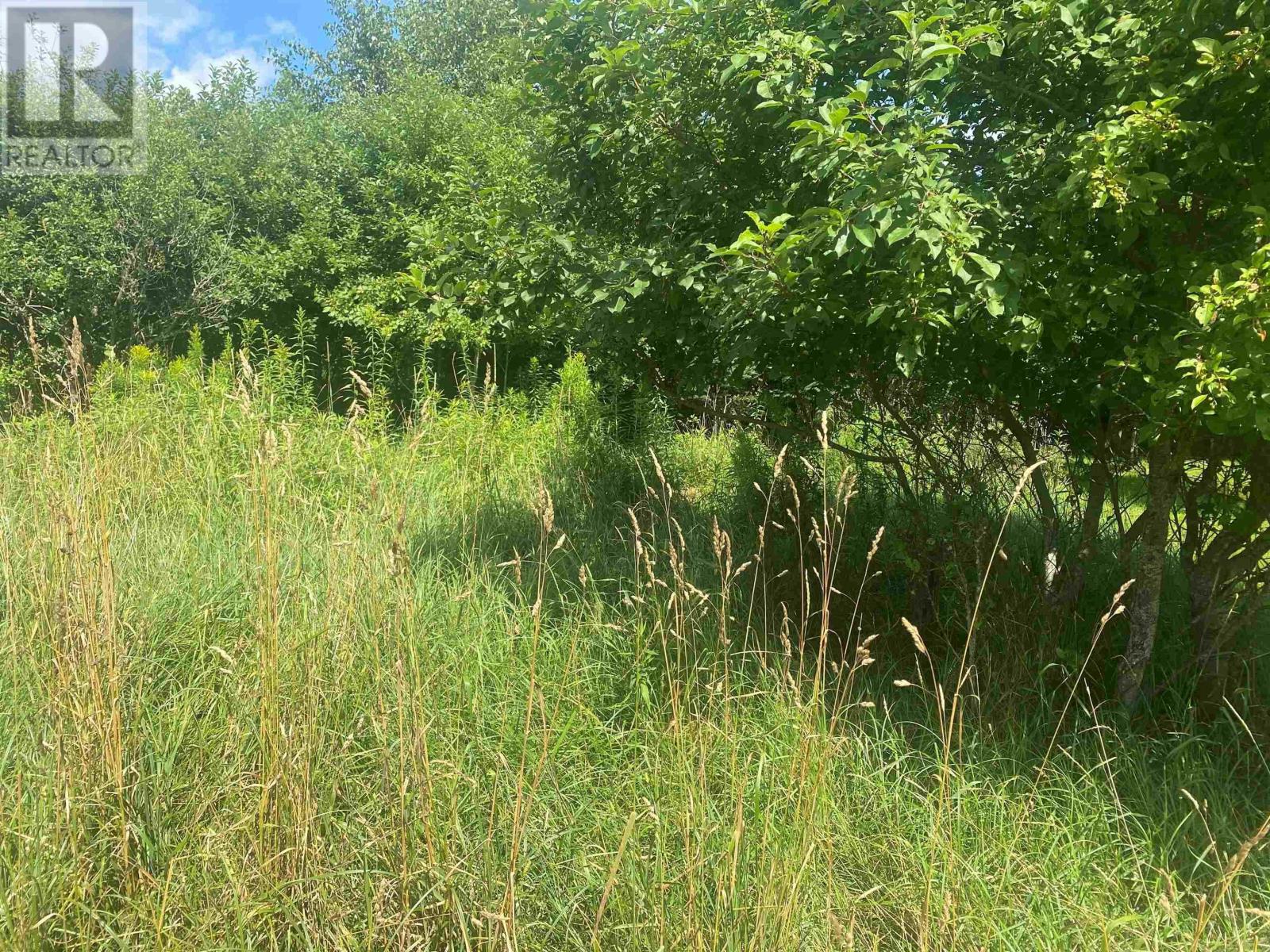 Property 5 of 5 of Lot 24 OLD COURT HOUSE BRANCH Road