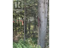 Lot 03-1 West Bay Road, West Bay, NS B0M1S0 Photo 7