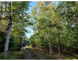 Lot 50 Redbird Dr., Malagawatch, NS B0E2Y0 Photo 13