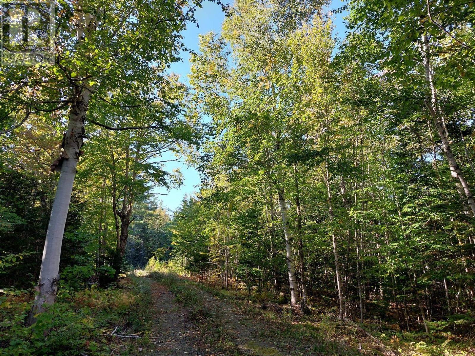 Property 18 of 23 of Lot 50 Redbird Dr.