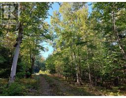 Lot 50 Redbird Dr., Malagawatch, NS B0E2Y0 Photo 6