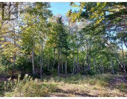 Lot 50 Redbird Dr., Malagawatch, NS B0E2Y0 Photo 7