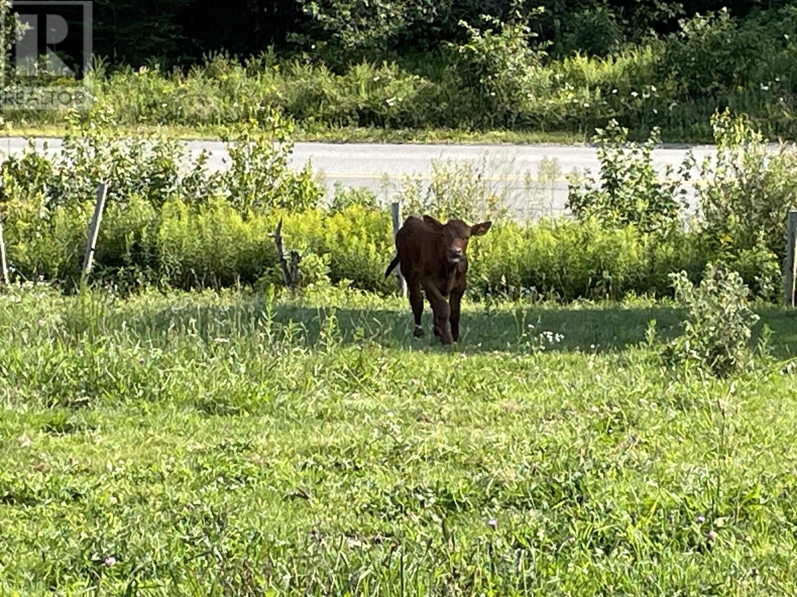 Property 40 of 42 of 550 Lower Branch Road