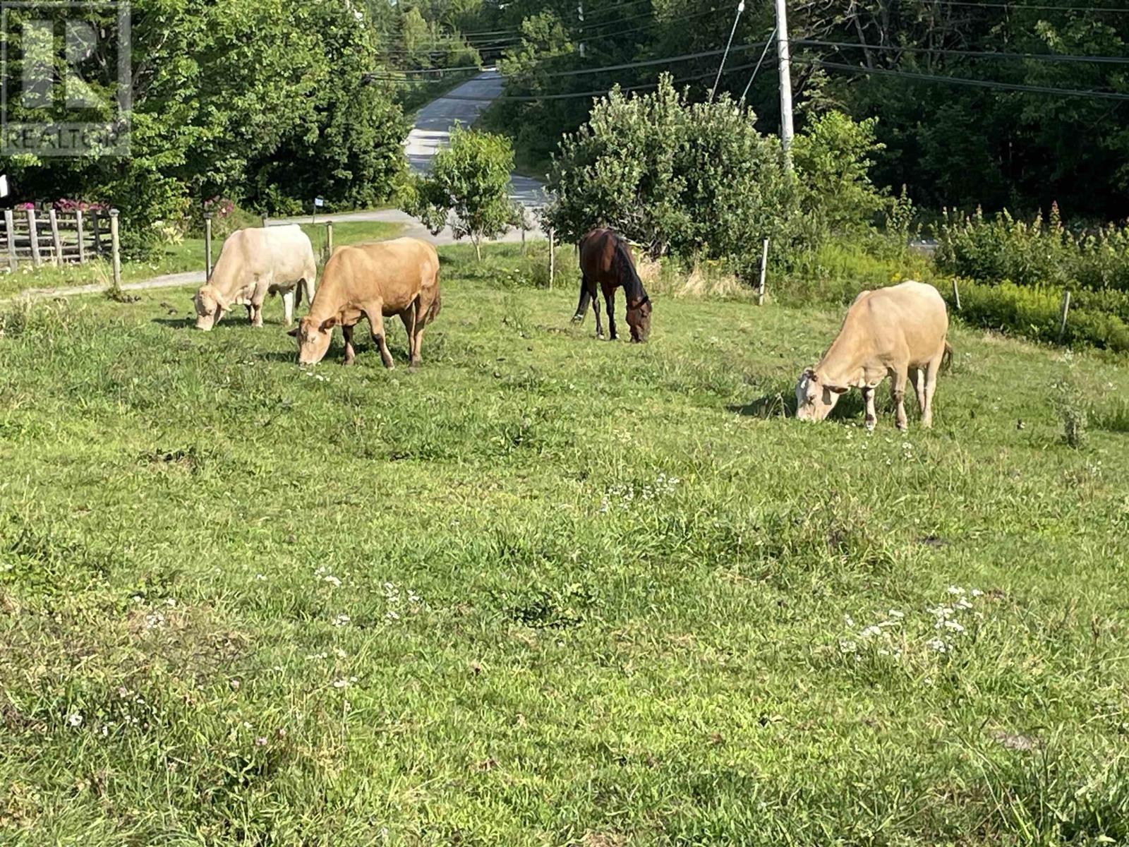 Property 36 of 42 of 550 Lower Branch Road