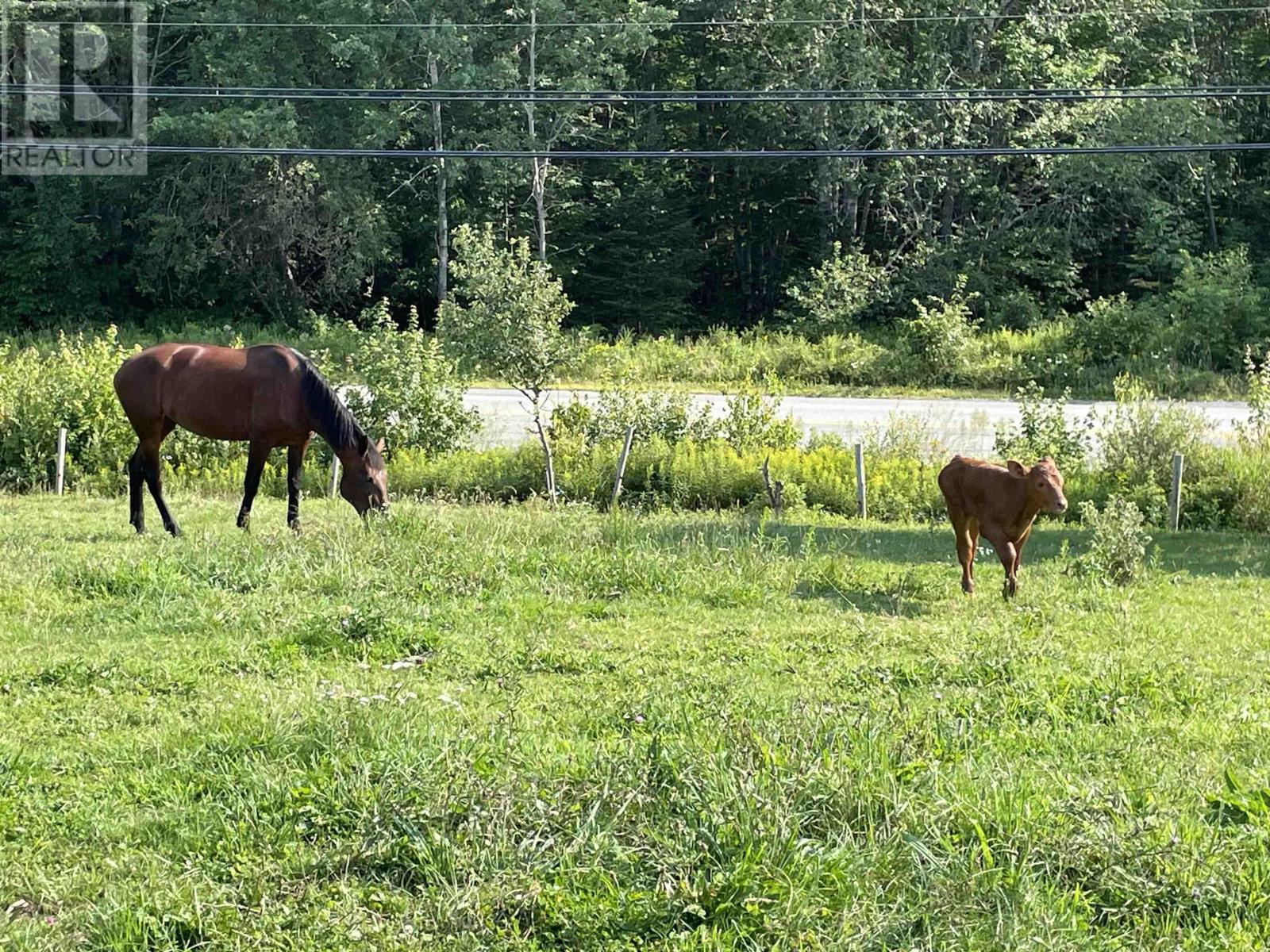 Property 41 of 42 of 550 Lower Branch Road