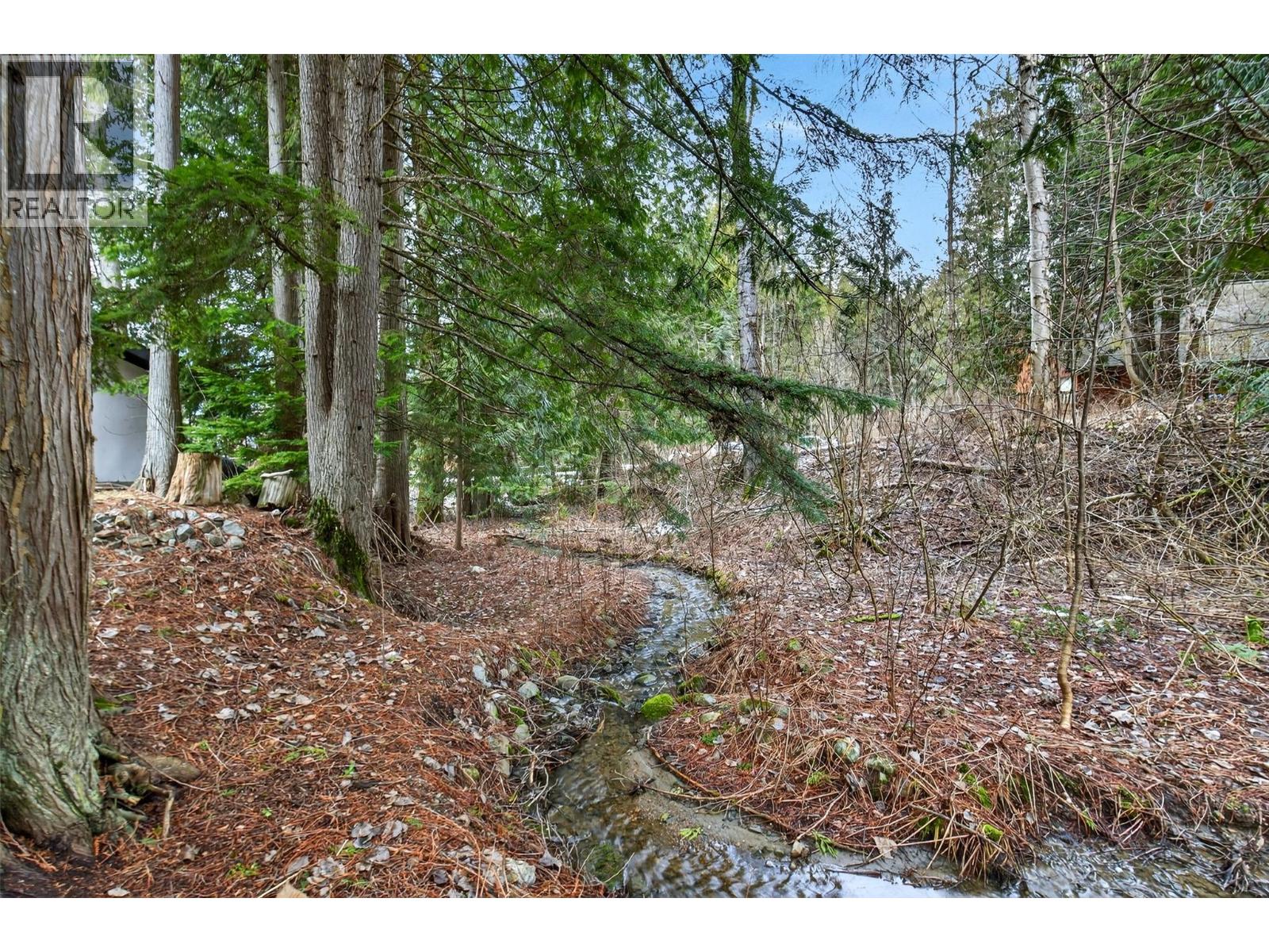 3025 Camozzi Road, Revelstoke