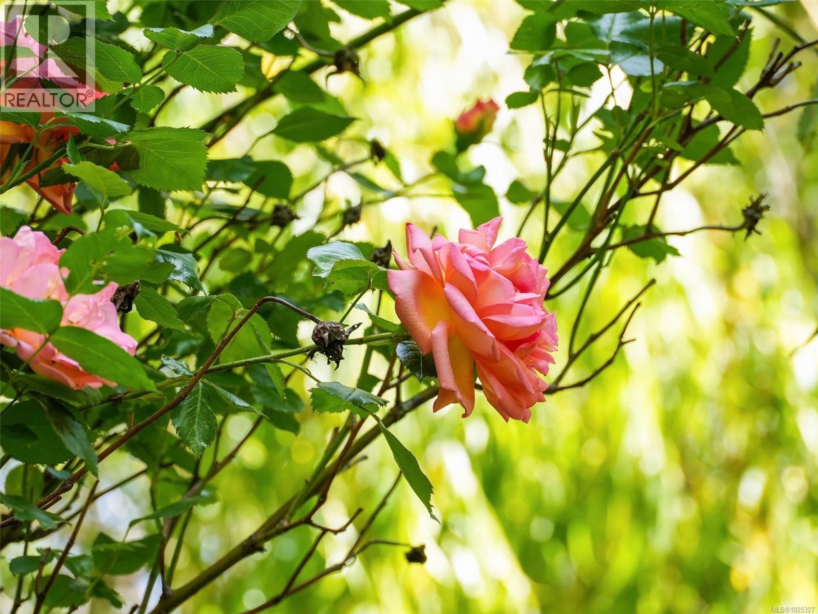  2550 Queenswood Drive, Saanich