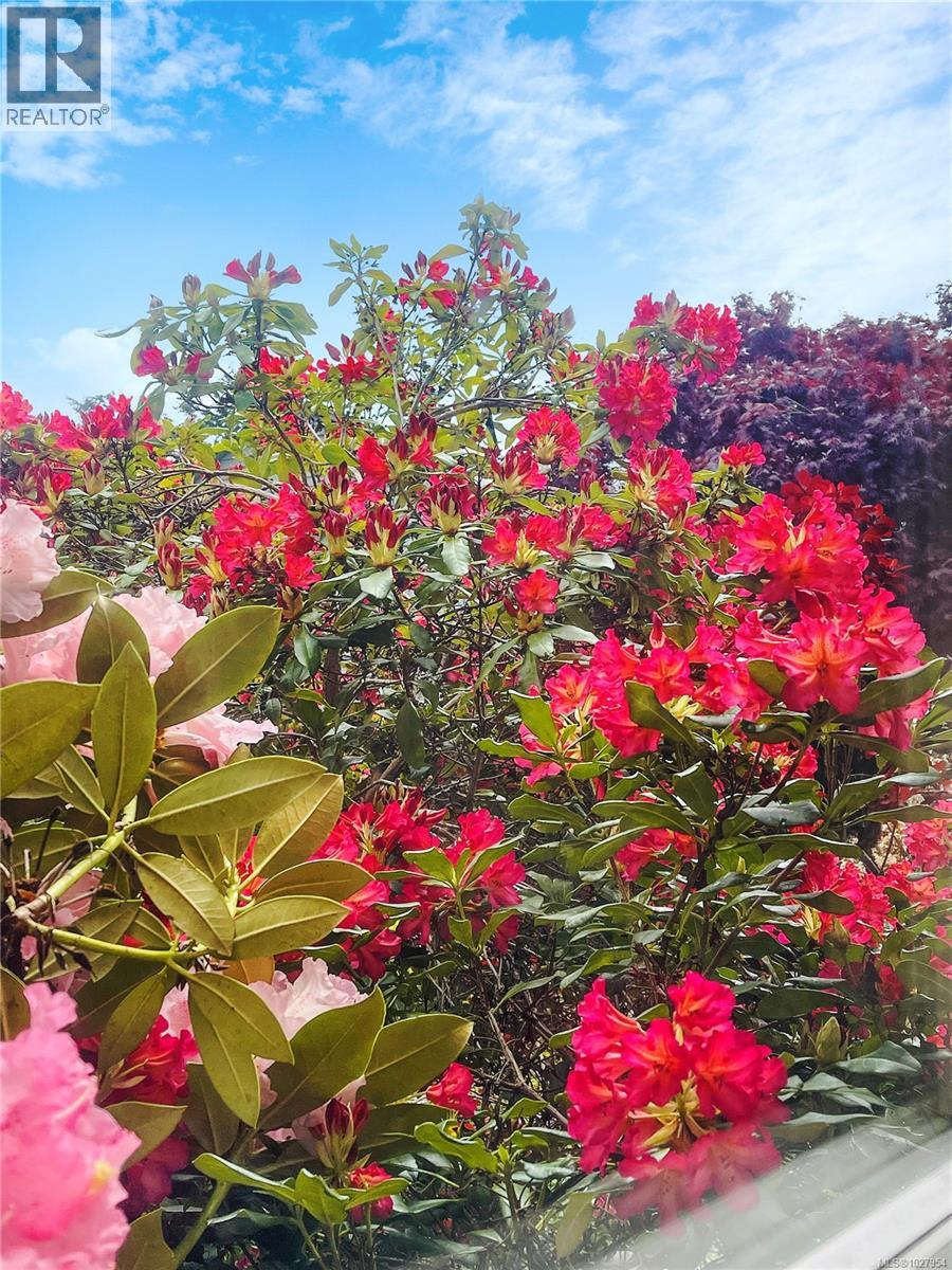 1763 Marathon Lane, Sooke