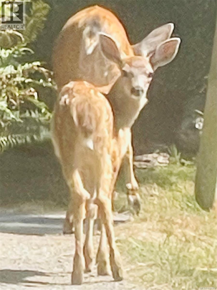 1763 Marathon Lane, Sooke