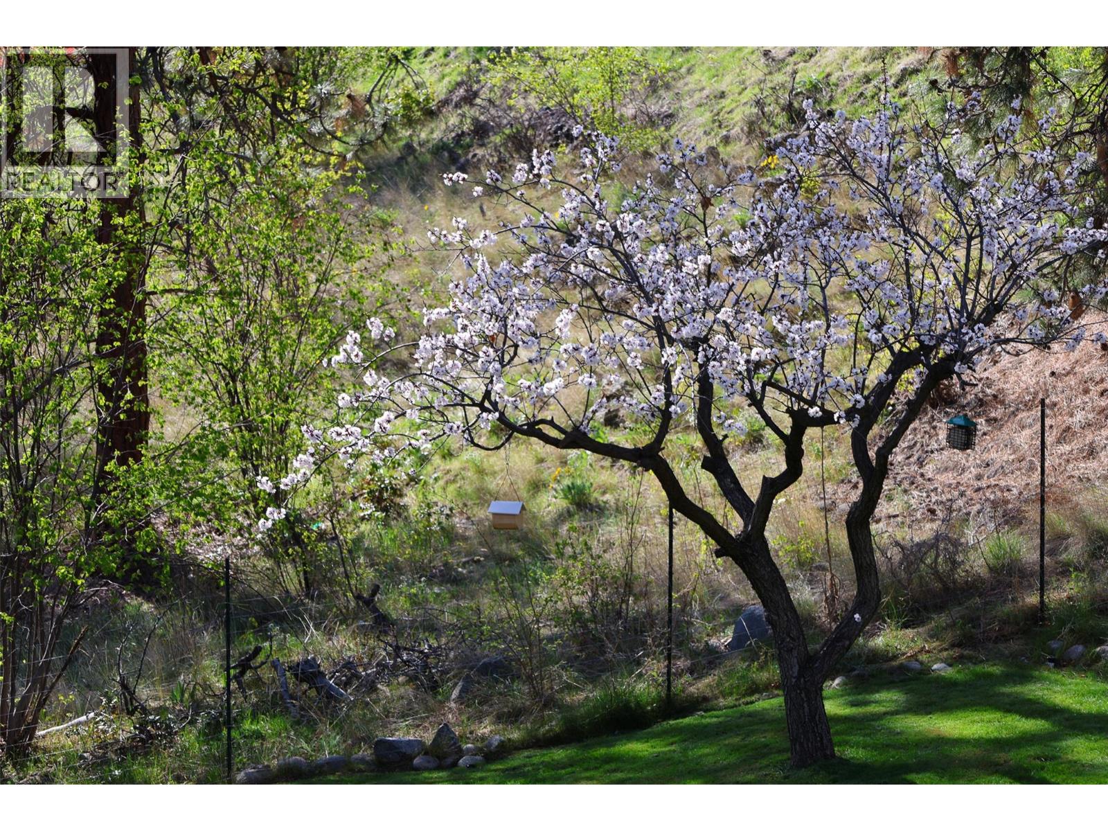 4239 4th Avenue, Peachland