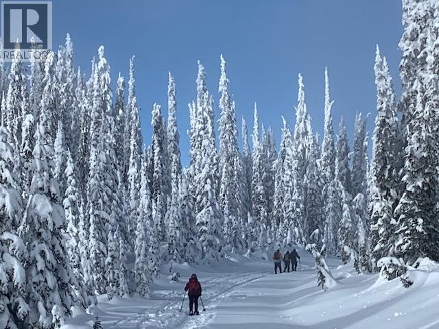 13533 MOUNTAIN SHORES ROAD - 48