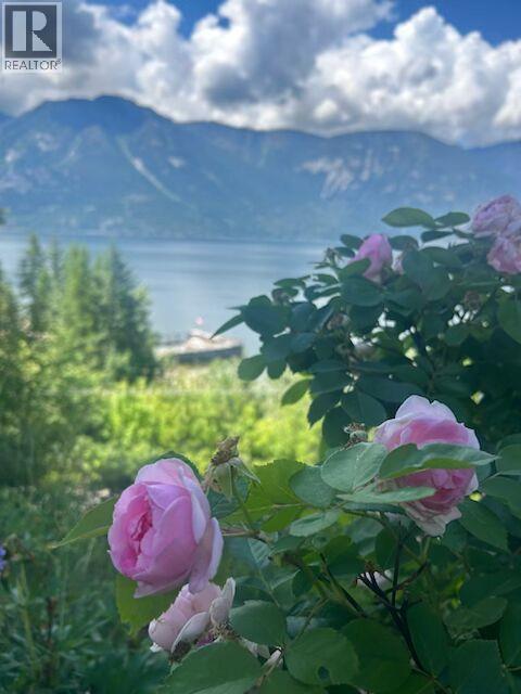 13533 MOUNTAIN SHORES ROAD - 49