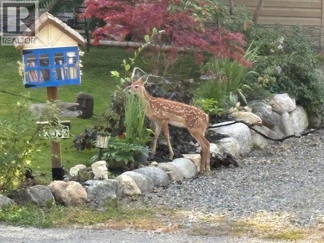 13533 MOUNTAIN SHORES ROAD - 53