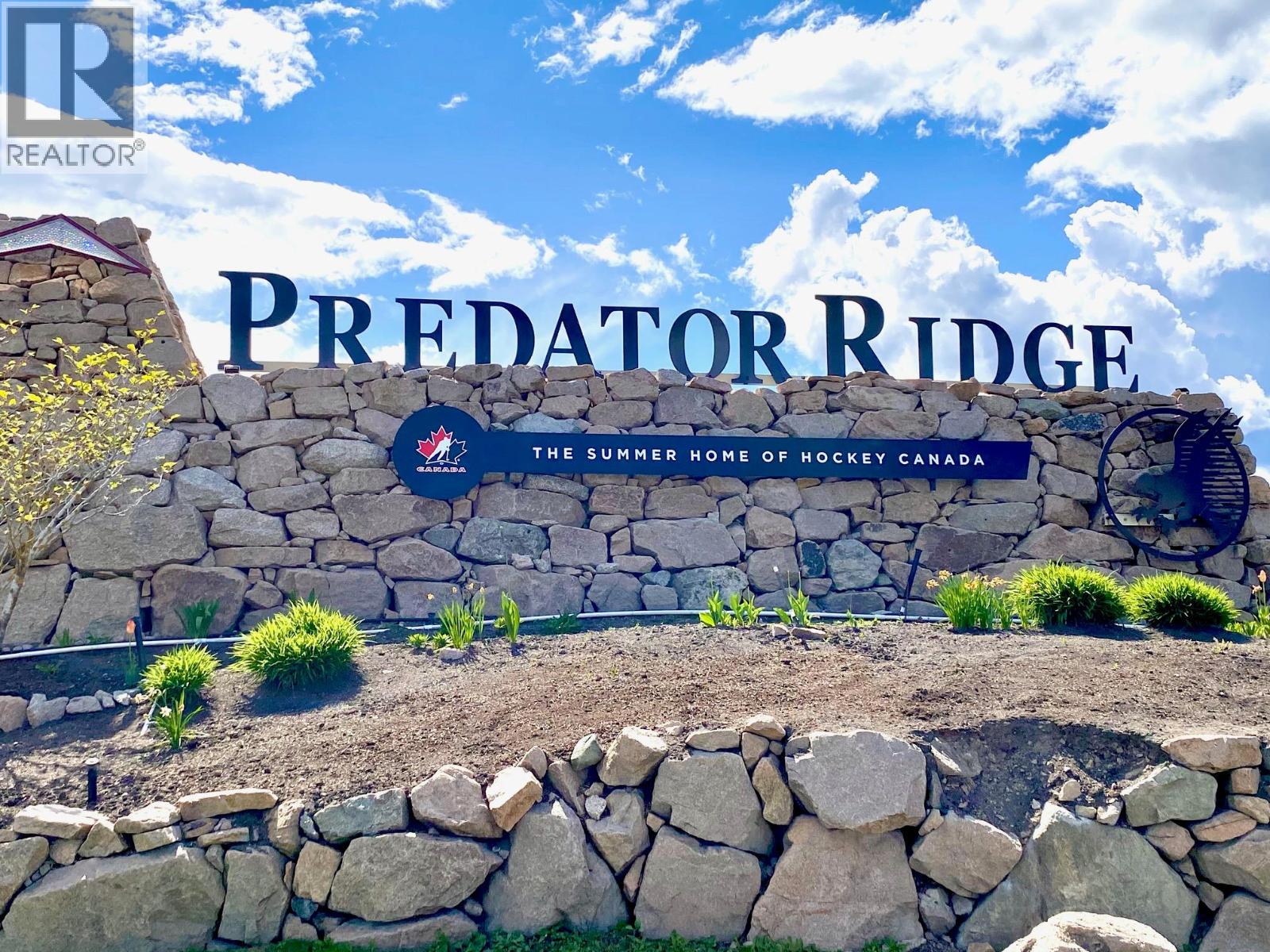 #4 105 PREDATOR RIDGE DRIVE - 78