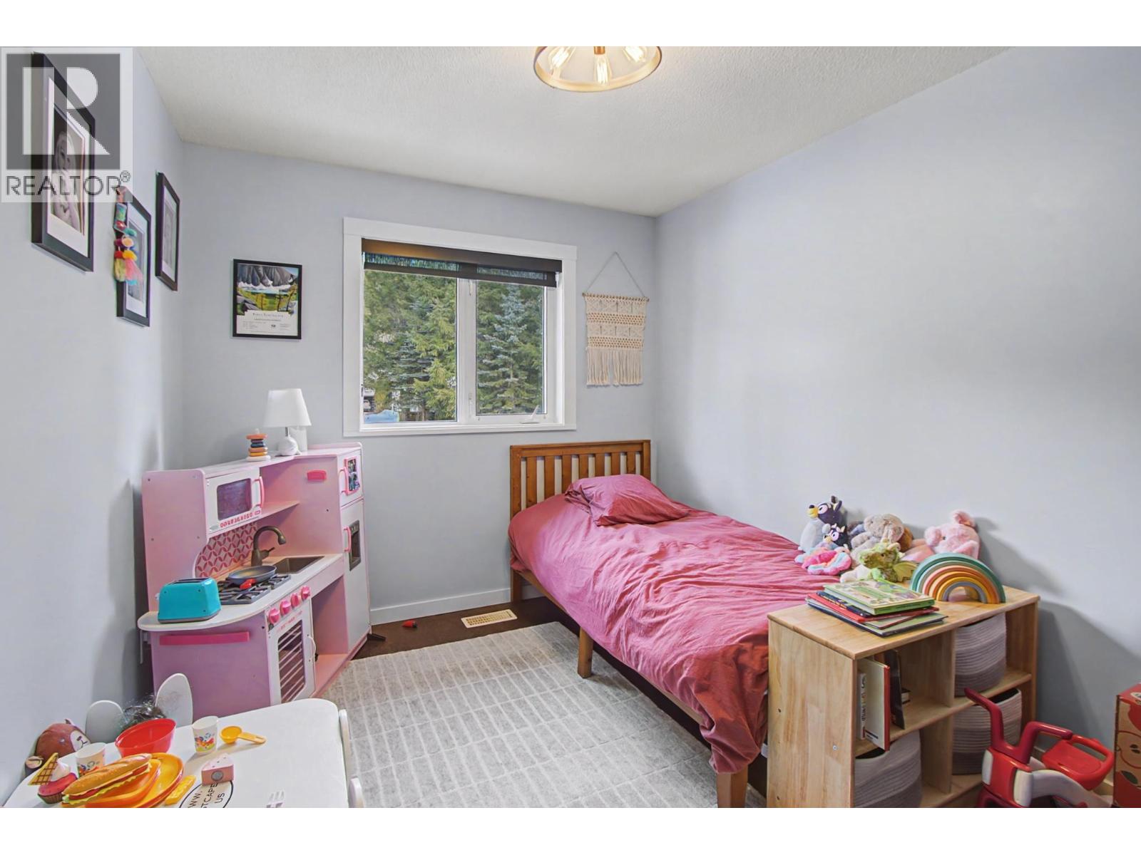 6655 NORTH NECHAKO ROAD - 17