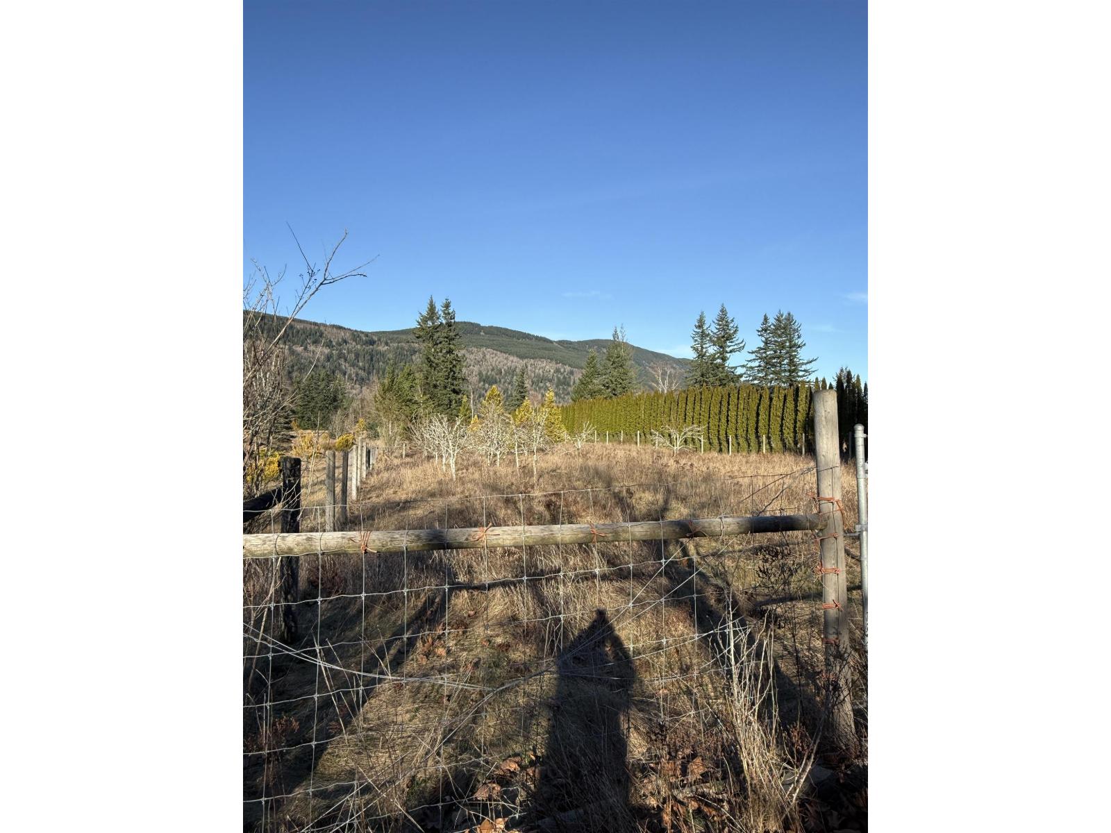 290 COLTER ROAD, Columbia Valley, Columbia Valley