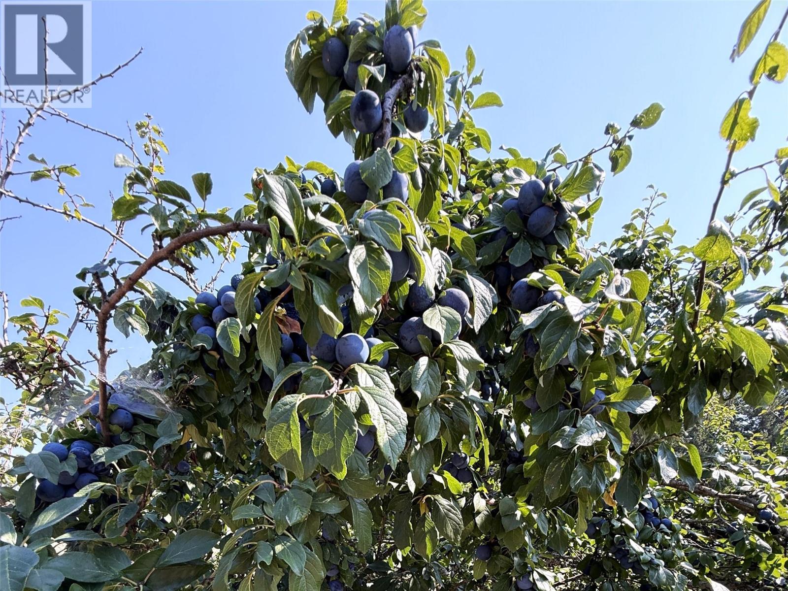  1403 Notch Hill Road, Sorrento