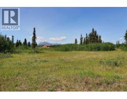Dl 1109 Atlin Road, Atlin, BC V1G0A1 Photo 8