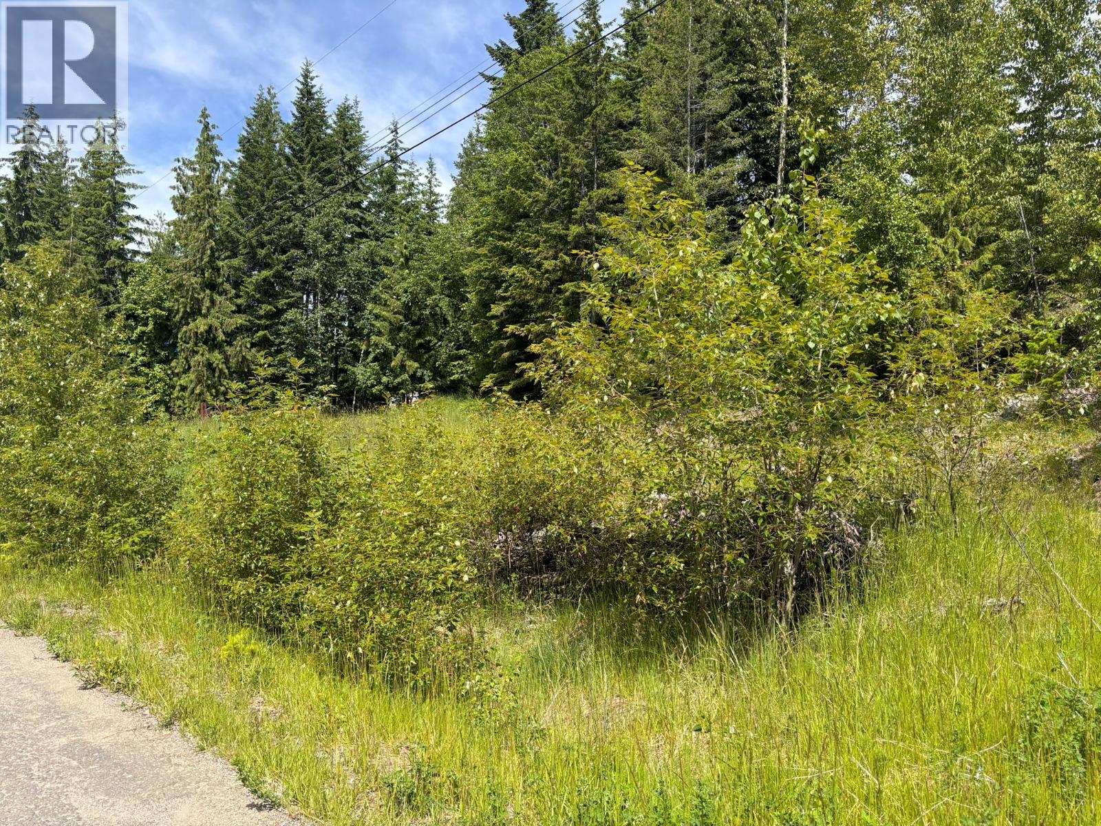 Fraser Road Lot# 124, Anglemont