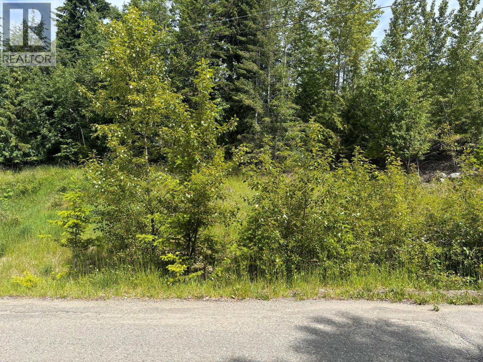 Fraser Road Lot# 124, Anglemont
