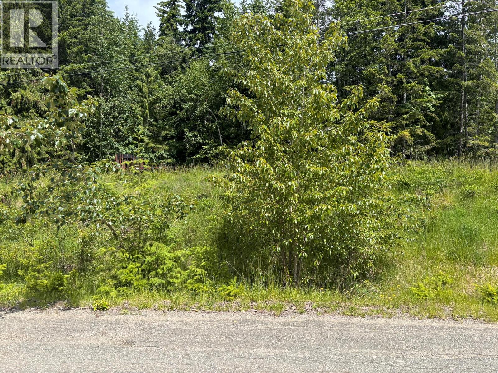 Fraser Road Lot# 124, Anglemont