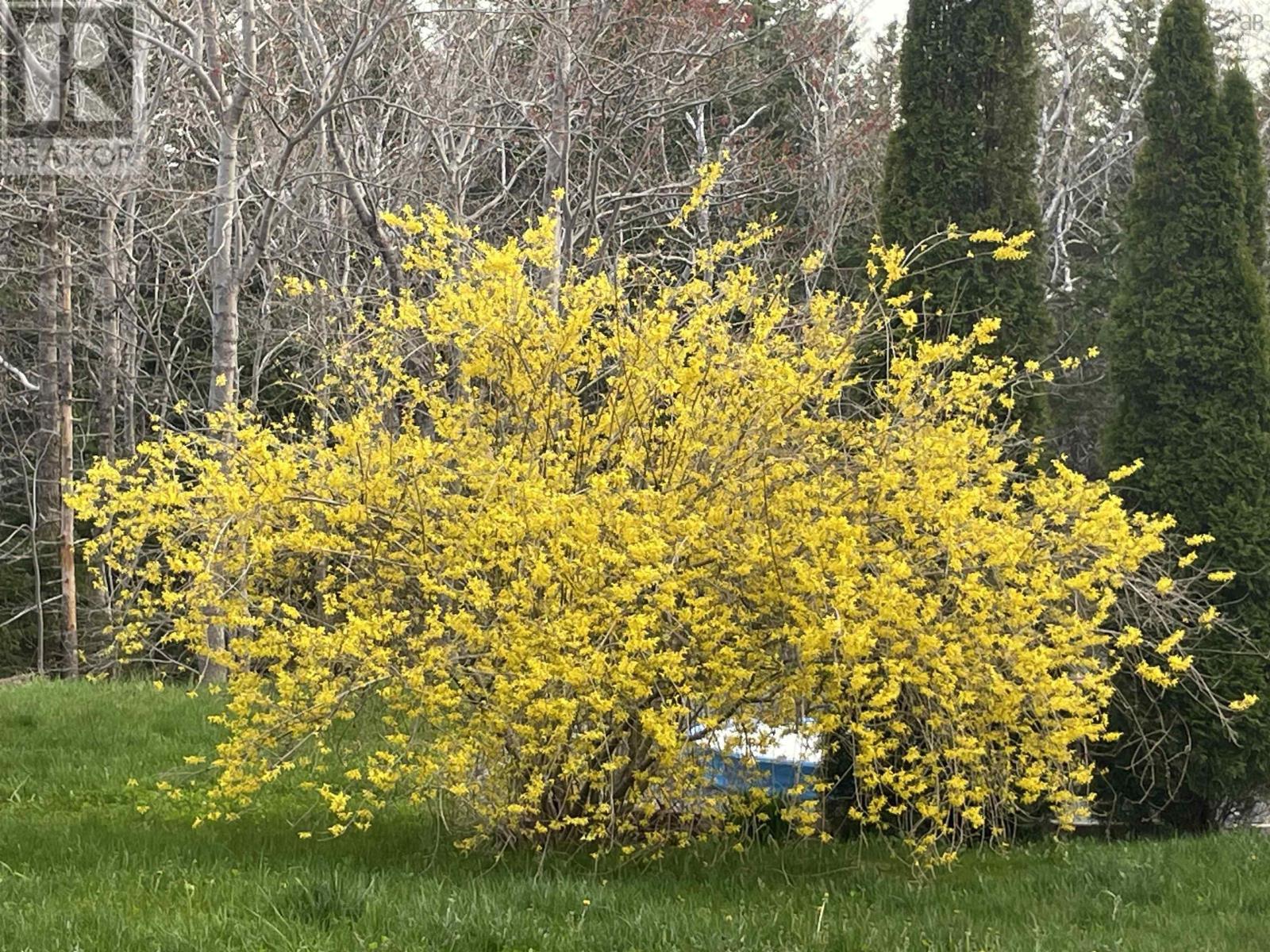 Property 38 of 41 of 219 Winslow Drive