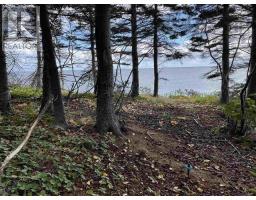 41251 Cabot Trail, Wreck Cove, NS B0C1H0 Photo 12