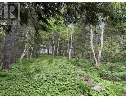 41251 Cabot Trail, Wreck Cove, NS B0C1H0 Photo 24