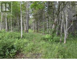 41251 Cabot Trail, Wreck Cove, NS B0C1H0 Photo 16