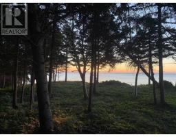 41251 Cabot Trail, Wreck Cove, NS B0C1H0 Photo 6