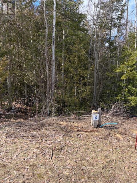 11 LAKESIDE WOODS CRESCENT