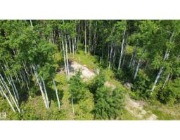 #74 5519 Twp Rd 550, Rural Lac Ste  Anne County, AB T0E0L0 Photo 9