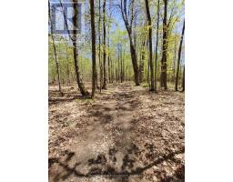 0 Totem Ranch Road, Edwardsburgh/cardinal, ON K0G1T0 Photo 6