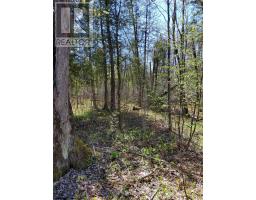 0 Totem Ranch Road, Edwardsburgh/cardinal, ON K0G1T0 Photo 8
