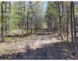 0 Totem Ranch Road, Edwardsburgh/cardinal, ON K0G1T0 Photo 9