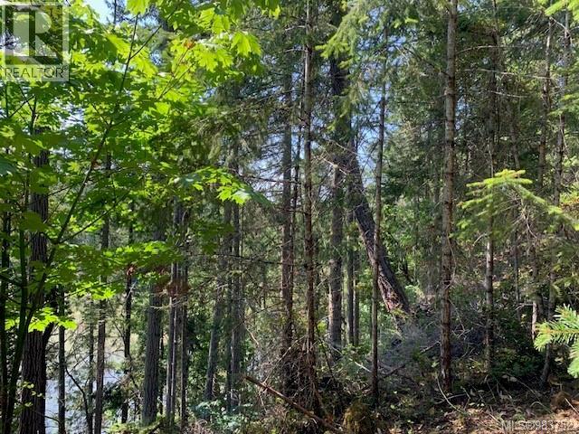 Vacant Land for Sale in Thetis Island – 409 Pilkey Point Rd, Thetis Island - Image 17
