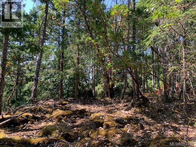 Vacant Land for Sale in Thetis Island – 409 Pilkey Point Rd, Thetis Island - Image 46