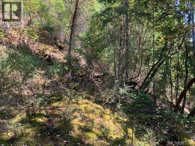 Vacant Land for Sale in Thetis Island – 409 Pilkey Point Rd, Thetis Island - Image 47