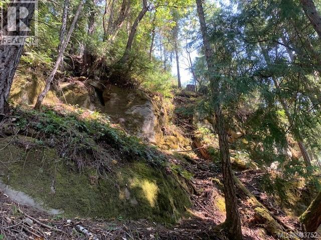 Vacant Land for Sale in Thetis Island – 409 Pilkey Point Rd, Thetis Island - Image 41