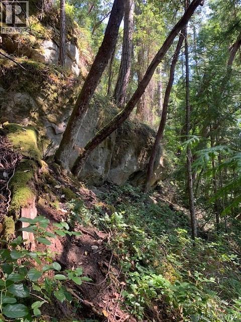 Vacant Land for Sale in Thetis Island – 409 Pilkey Point Rd, Thetis Island - Image 43