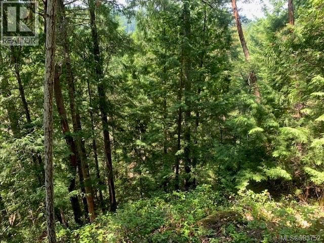 Vacant Land for Sale in Thetis Island – 409 Pilkey Point Rd, Thetis Island - Image 40