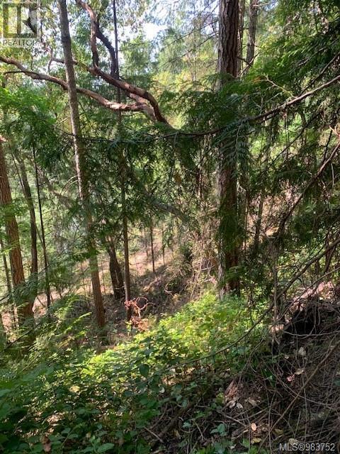 Vacant Land for Sale in Thetis Island – 409 Pilkey Point Rd, Thetis Island - Image 44